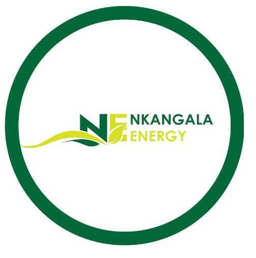 Nkangala Energy Logo Circle